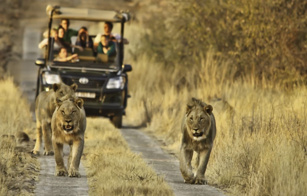 South Africa 11 Nights 12 Days